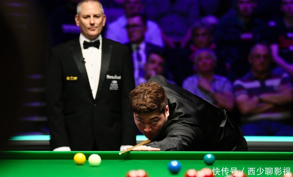 夏洛特黄蜂 夏洛特黄蜂